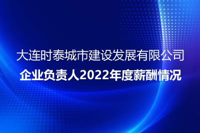 大連時泰城市建設發(fā)展有限公司 企業(yè)負責人2022年度薪酬情況